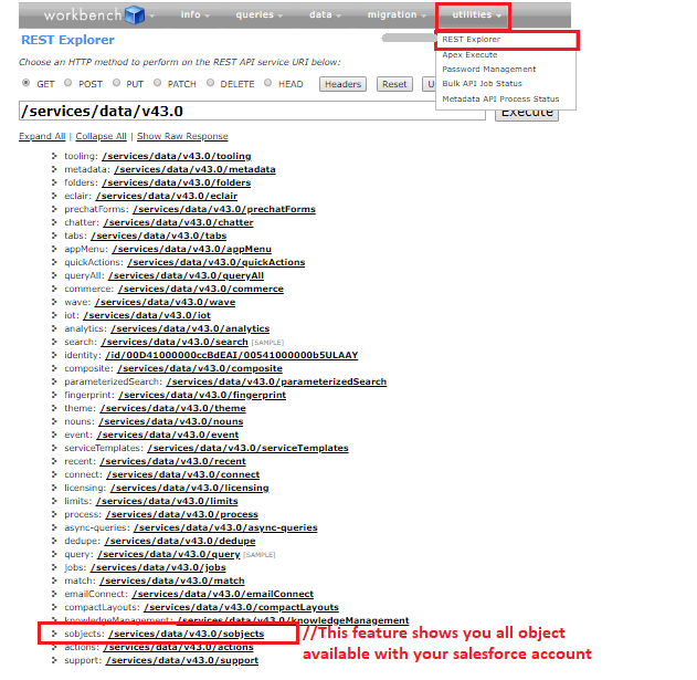 Salesforce REST API and Queries with workbench Treta Infotech